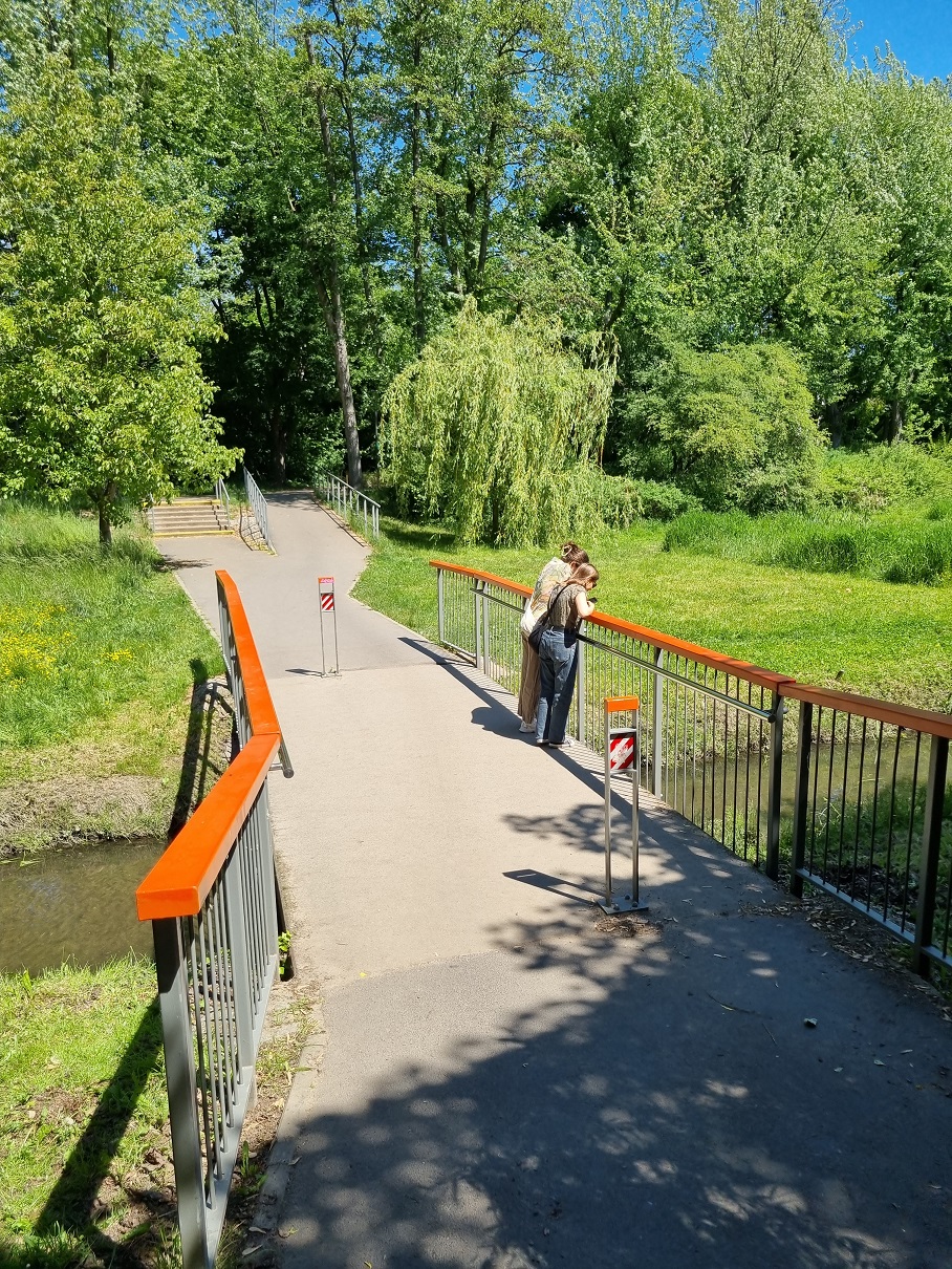 mostek w parku wodziczki