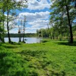 dzika plaża nad jeziorem strzeszyńskim