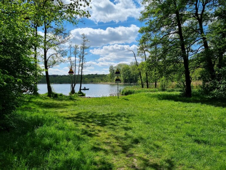 dzika plaża nad jeziorem strzeszyńskim