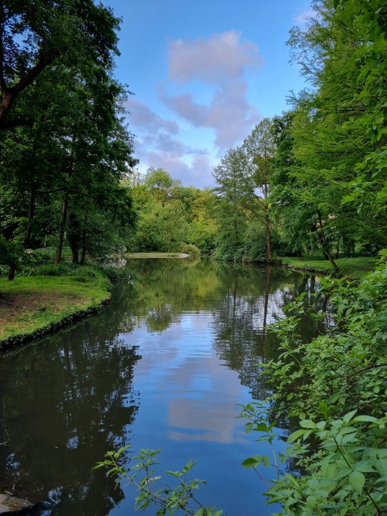 woda pośród zieleni w parku.
